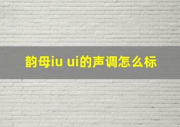 韵母iu ui的声调怎么标